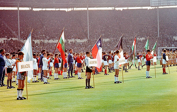 我们不仅看 我们不仅看