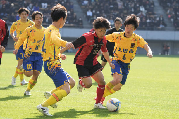 新体育场的 新体育场的